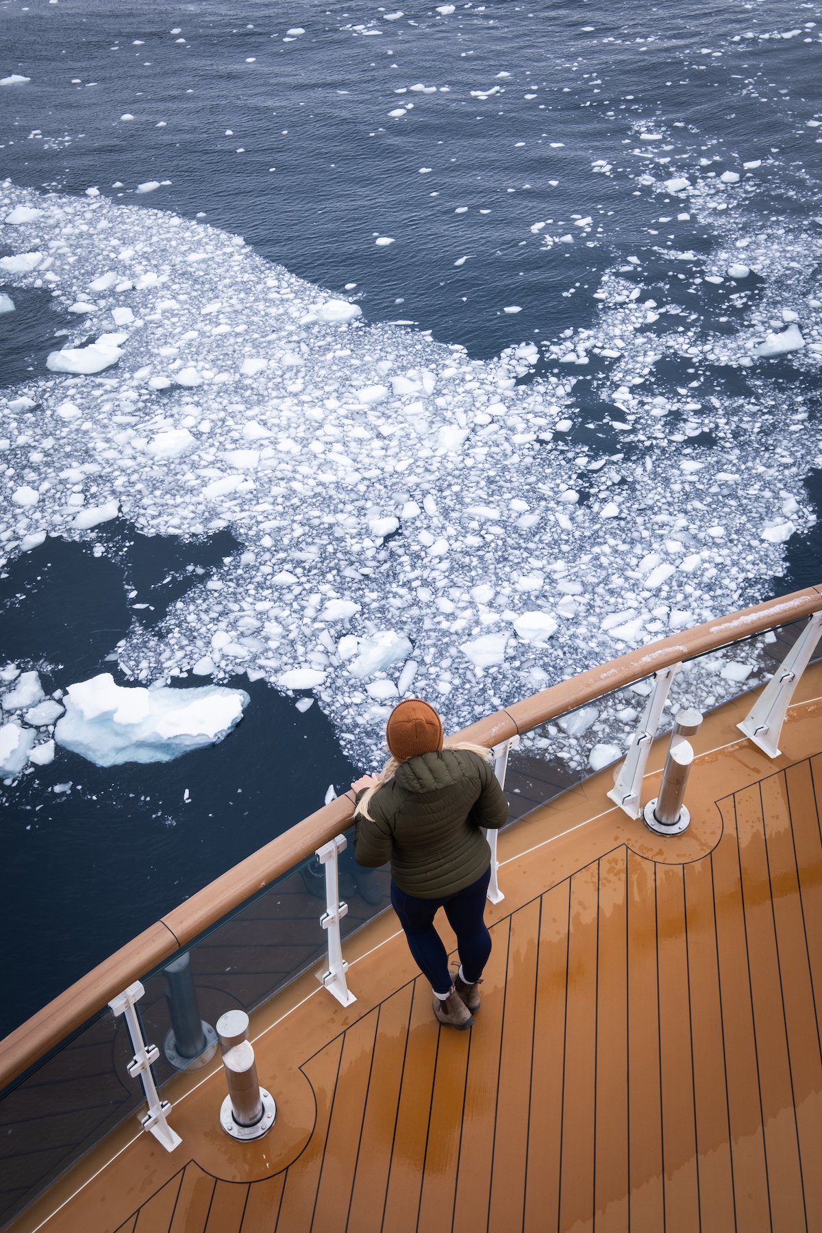 Cruising in antarctica 
