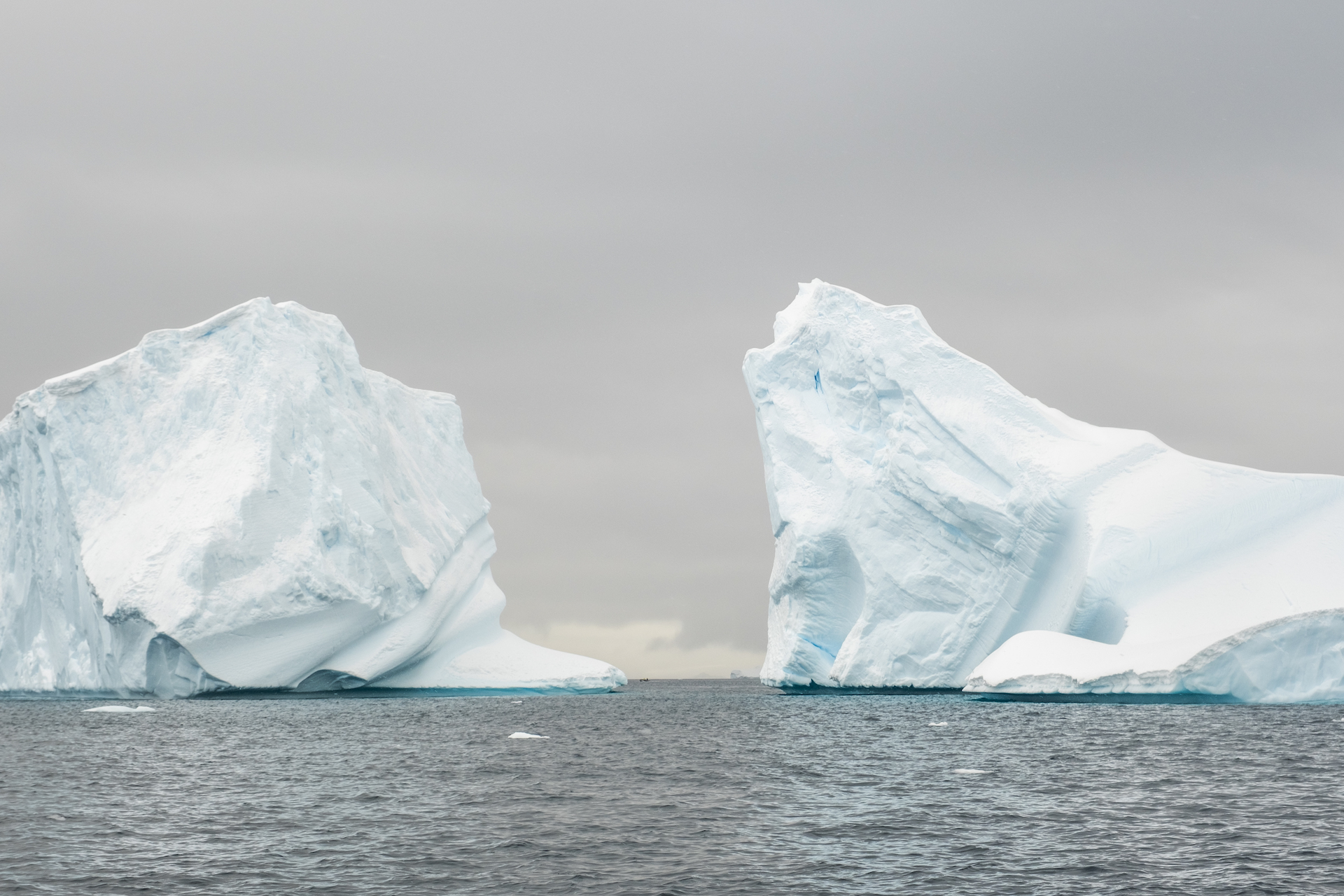 Icebergs seen from the zodiac
