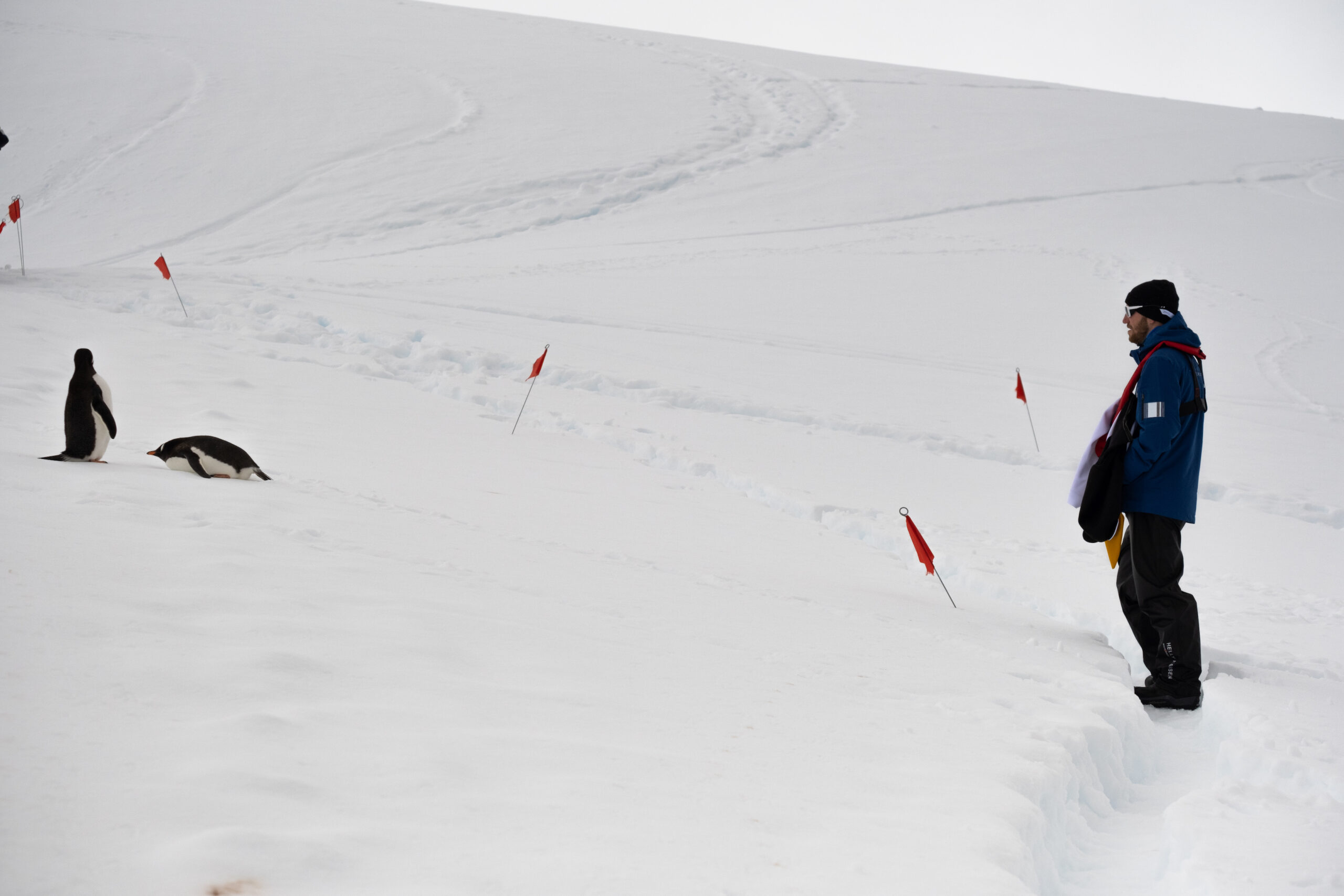 A path created by the expedition team