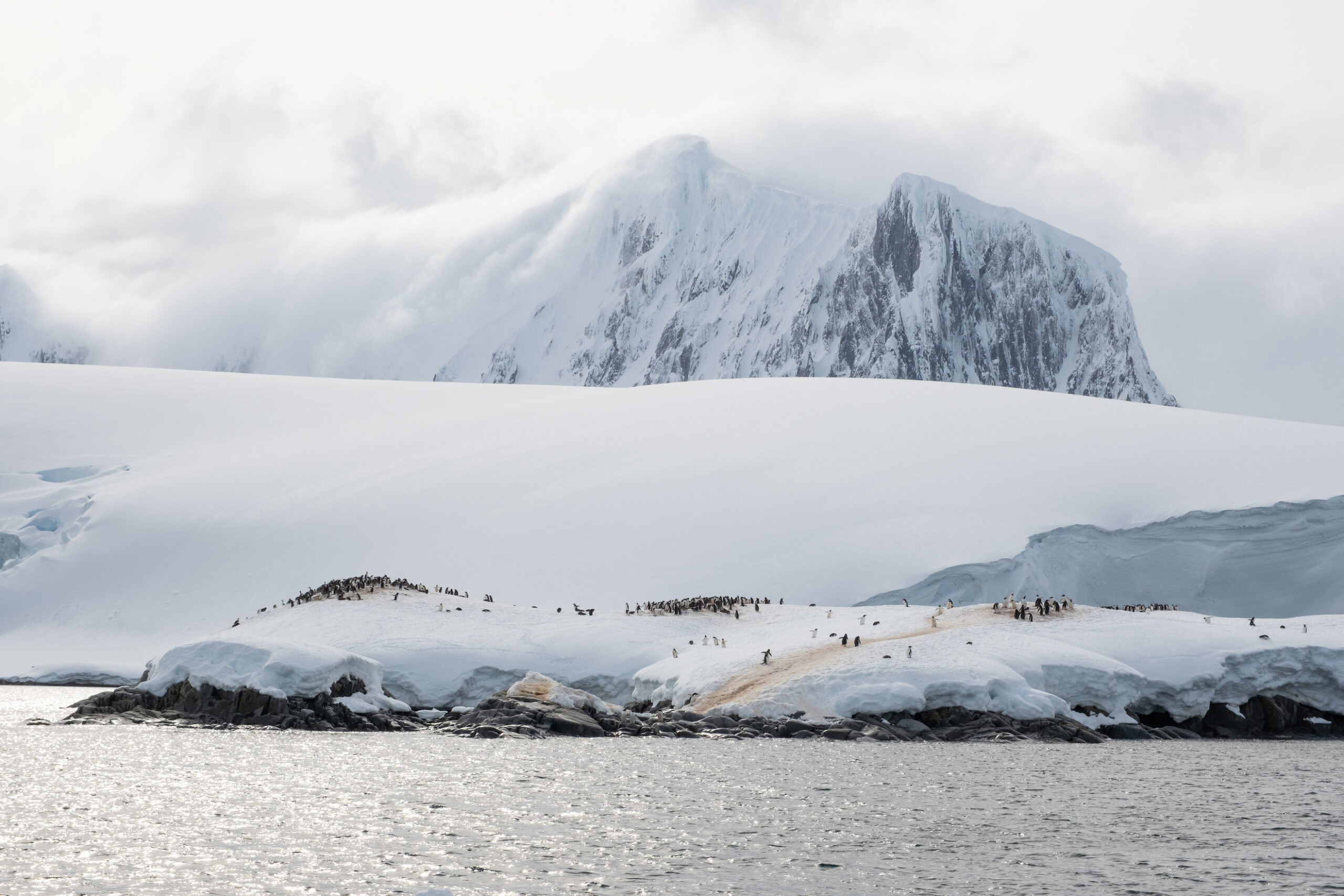 How To Save Money on An Antarctica Trip