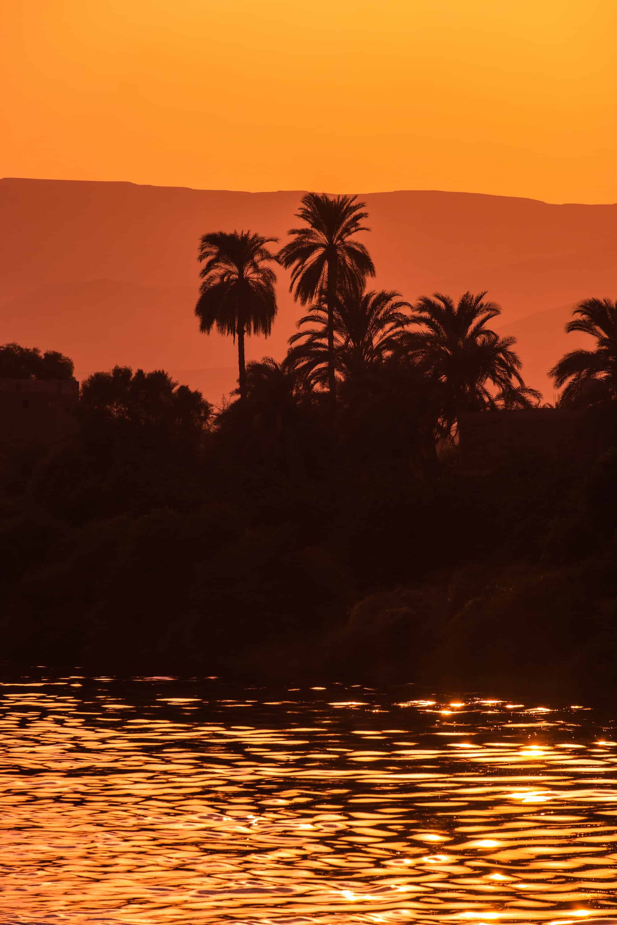 Steam Ship Sudan - cruising the Nile