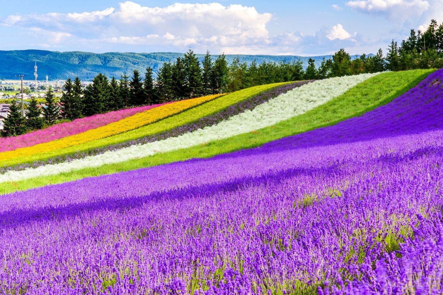 best time to visit hokkaido