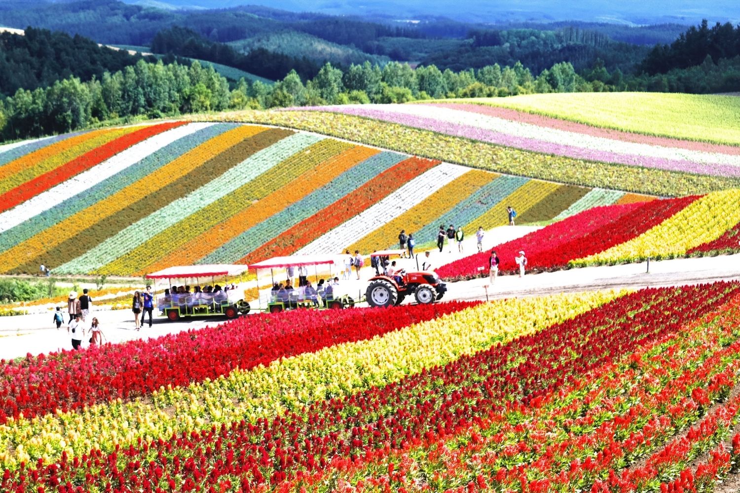 best time to visit hokkaido