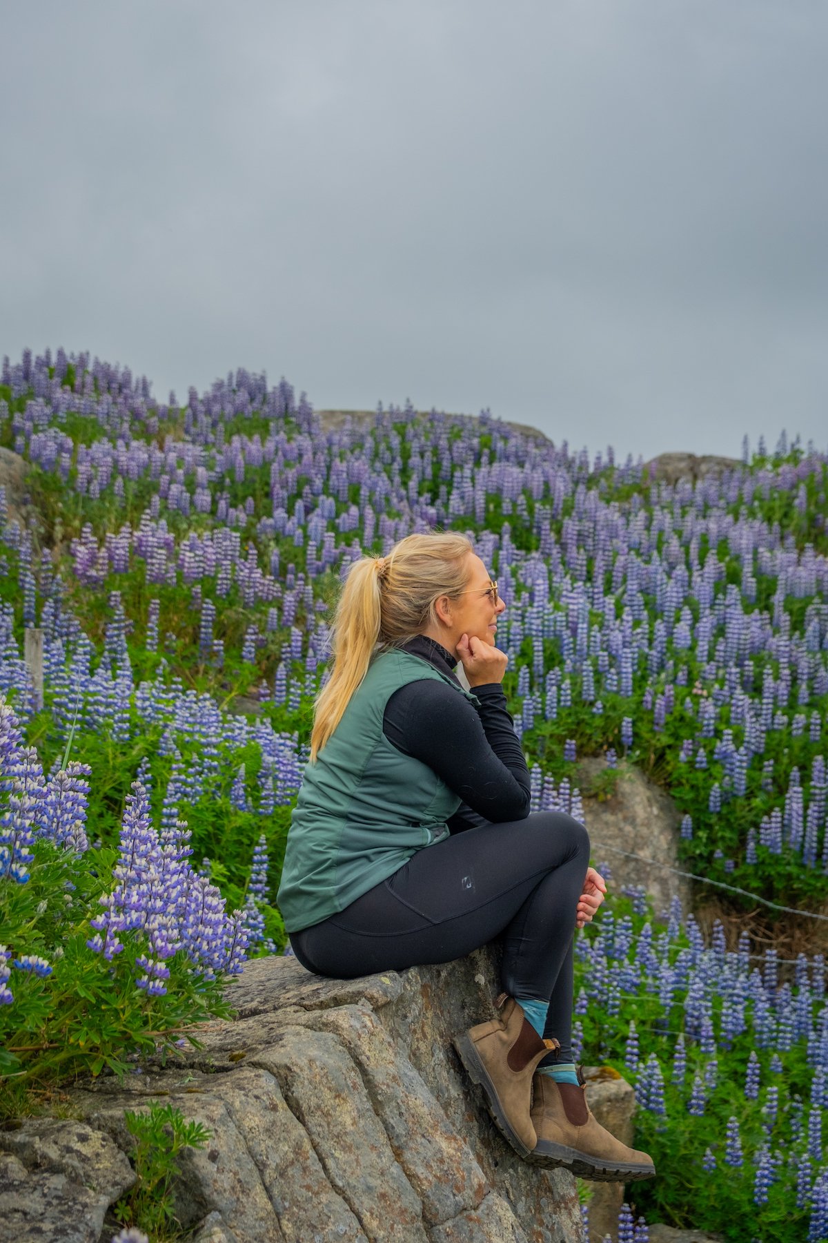 Natasha Sits On A Rock Surrounded By Lupines In Iceland