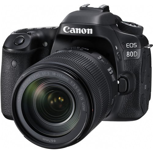 Best Safari Cameras Canon 80D