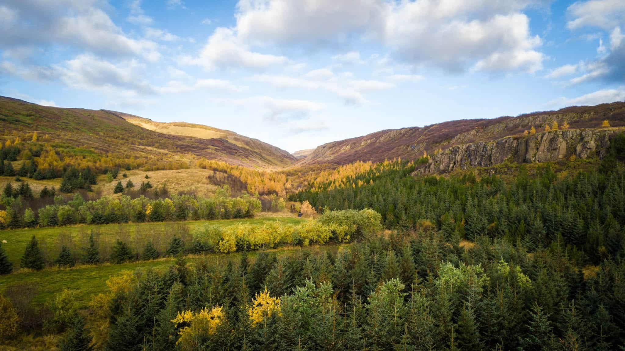 The Small Forests Of Iceland With Fall Colors