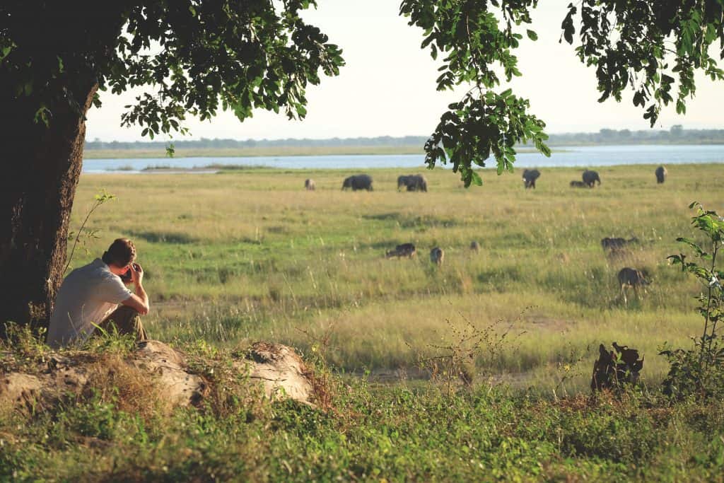 Mana Pools National Park Little Ruckomechi