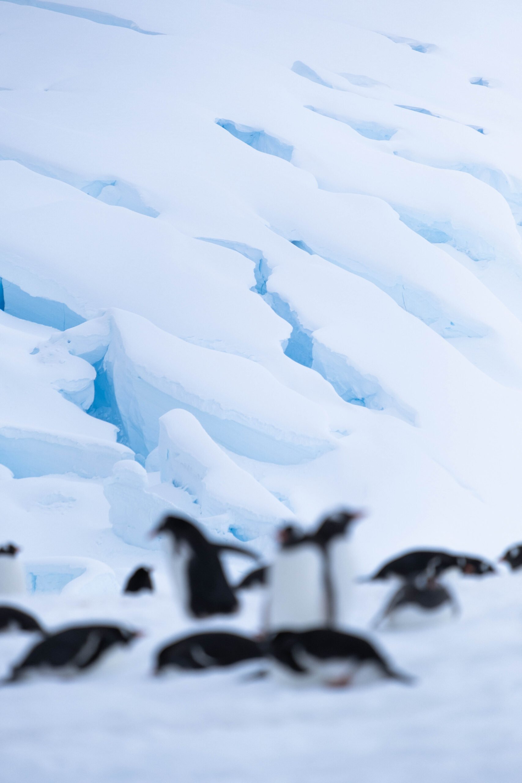 antarctica travel tips