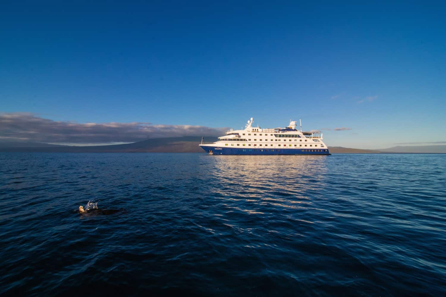 Galapagos Cruise - Santa Cruz II