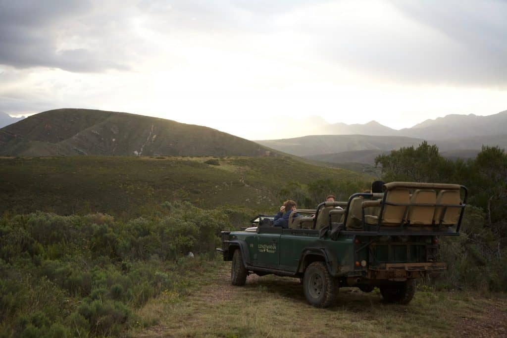 Gondwana Game Drive at Tented Eco Camp