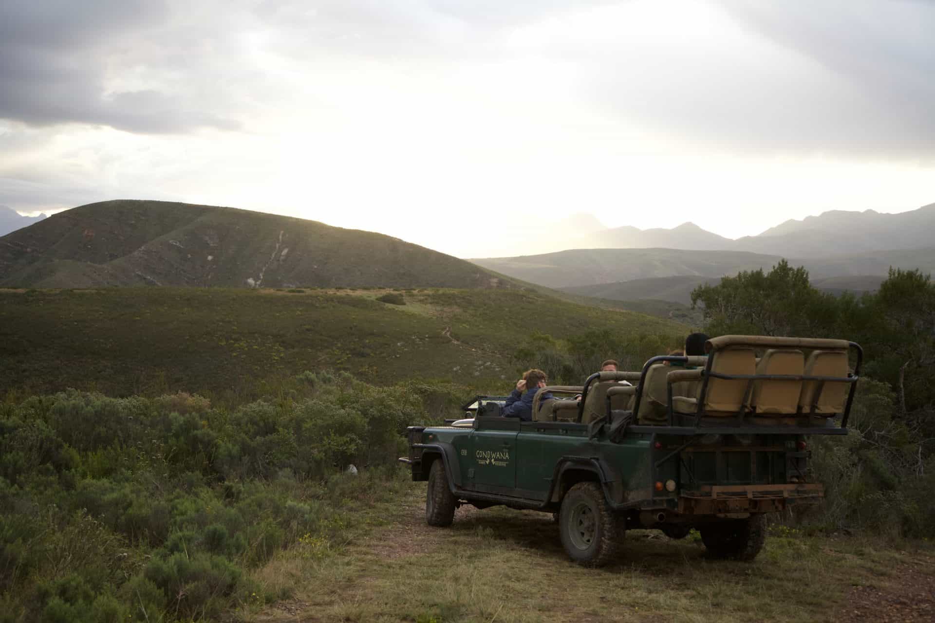 Gondwana Game Drive at Tented Eco Camp
