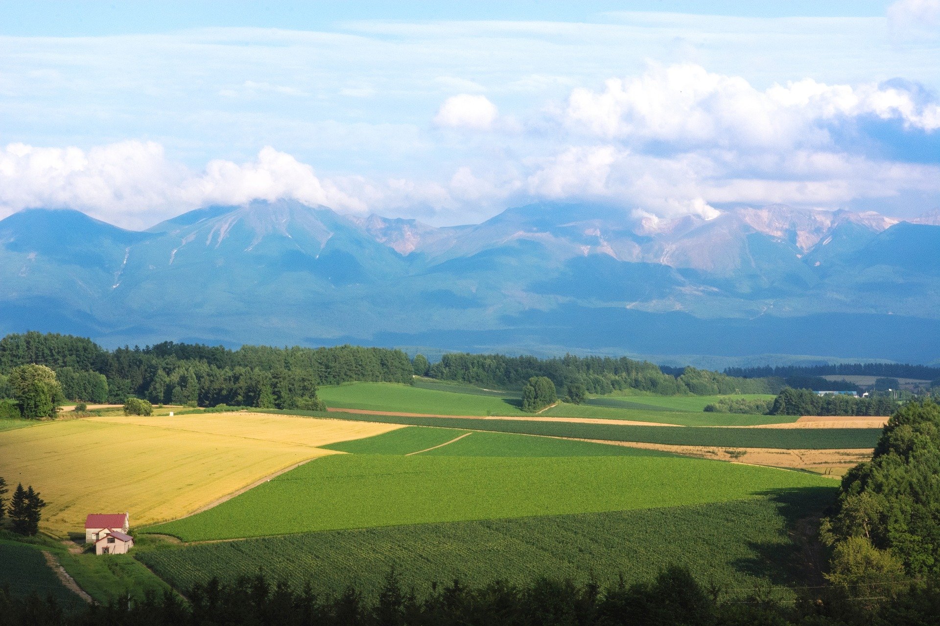 Hokkaido Summer