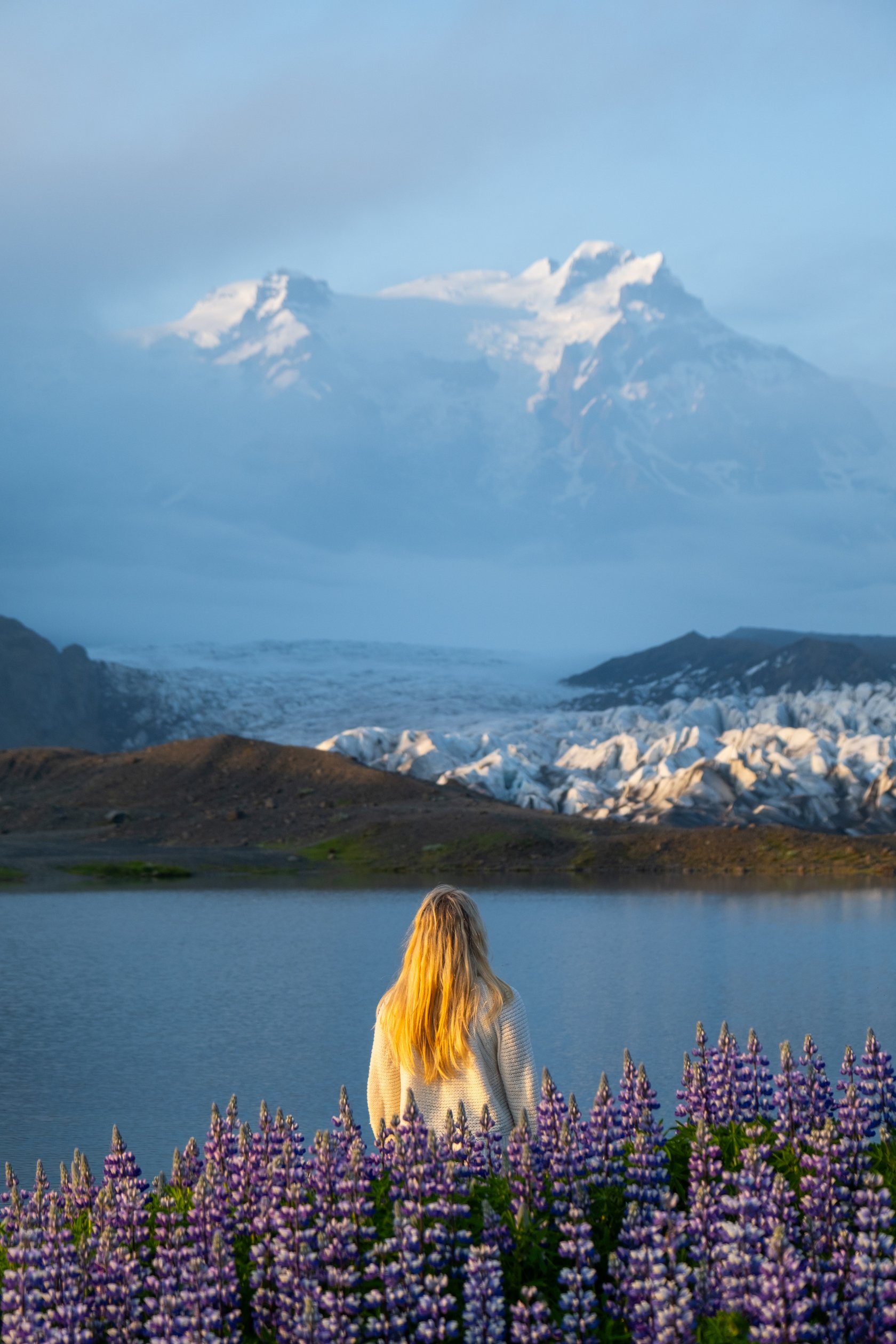 Natasha Behind Lupines Looks Out To Huge Glacier Field In Iceland