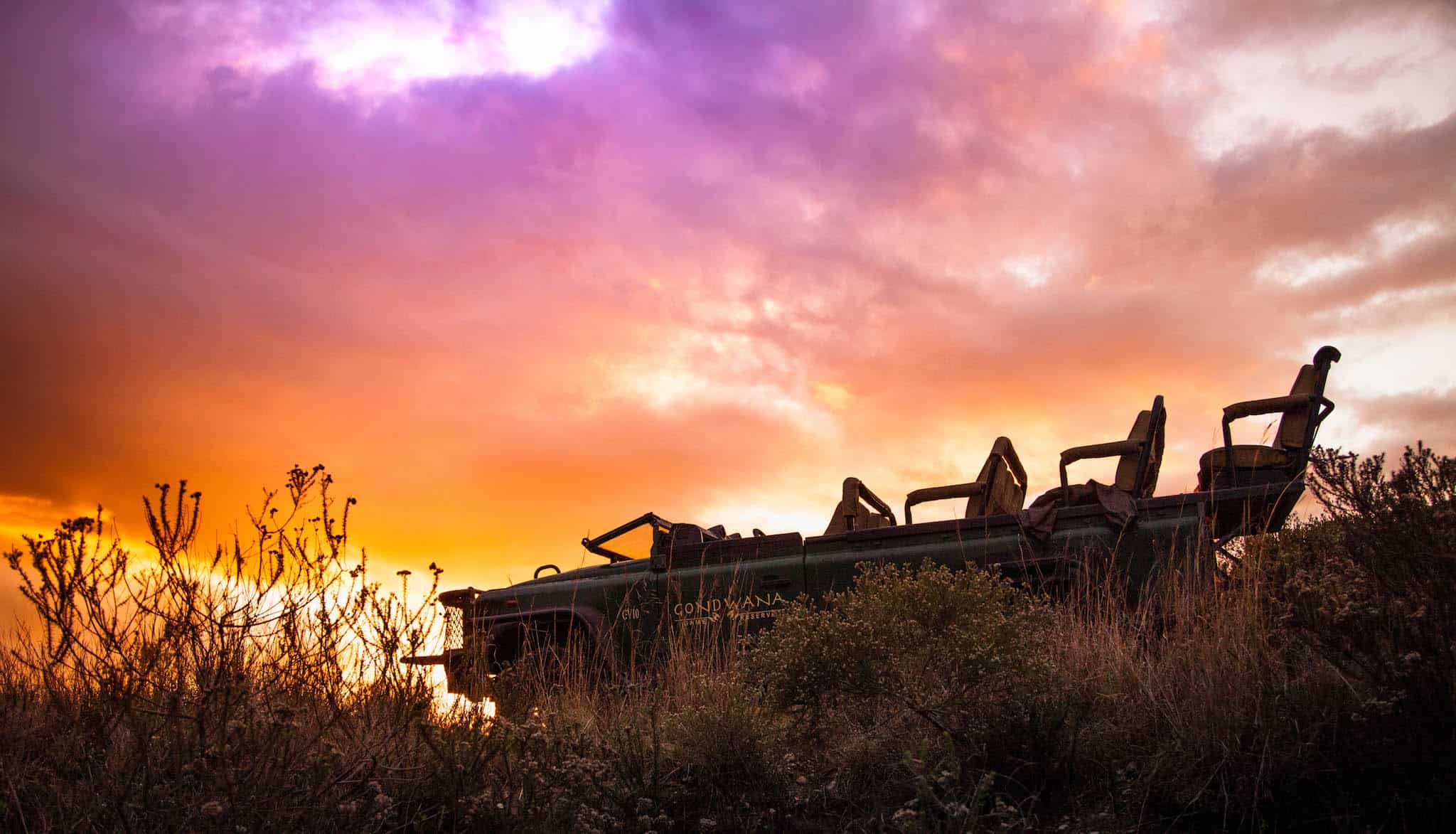 on safari in South Africa