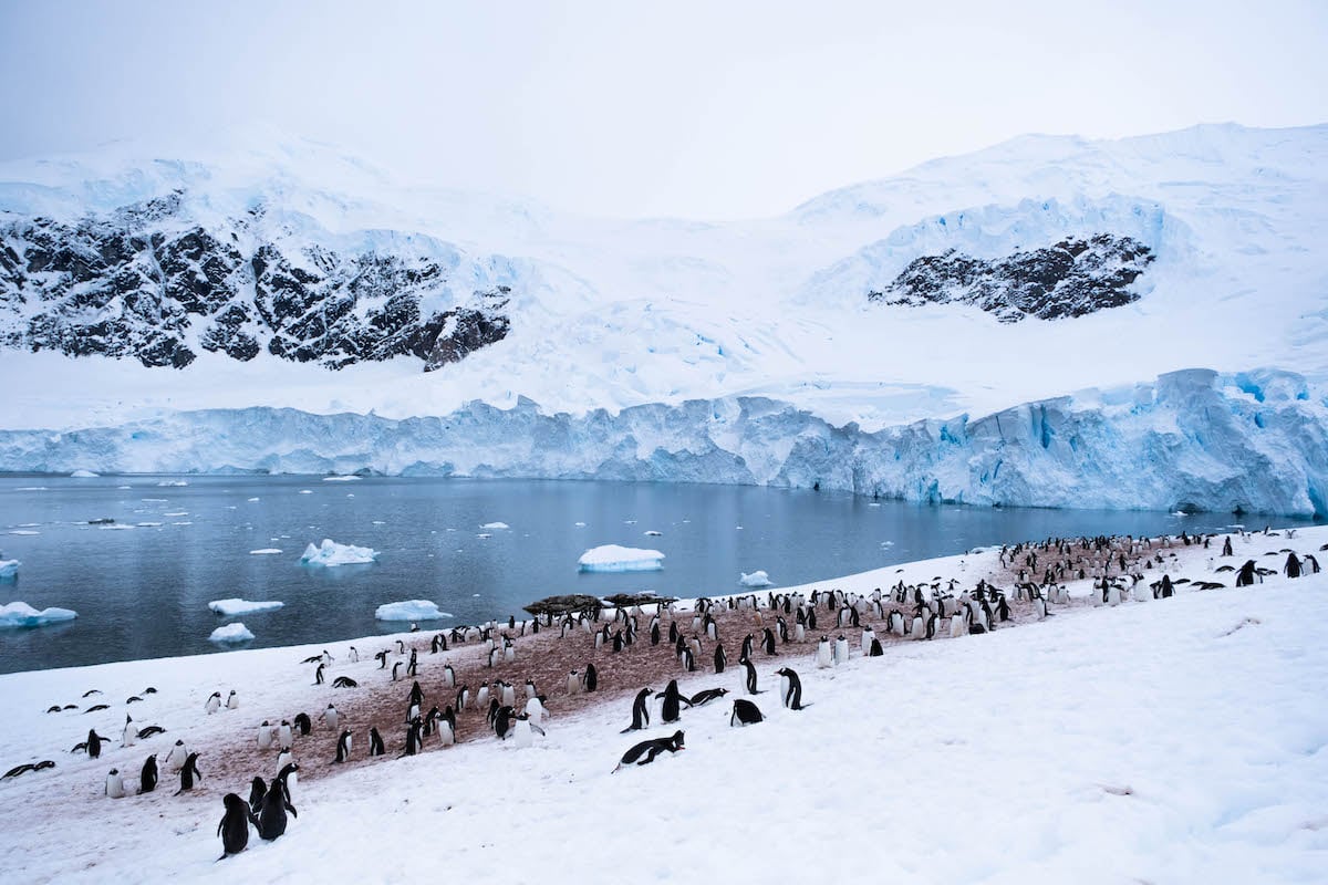 Is There a Medical Requirement For Traveling to Antarctica?