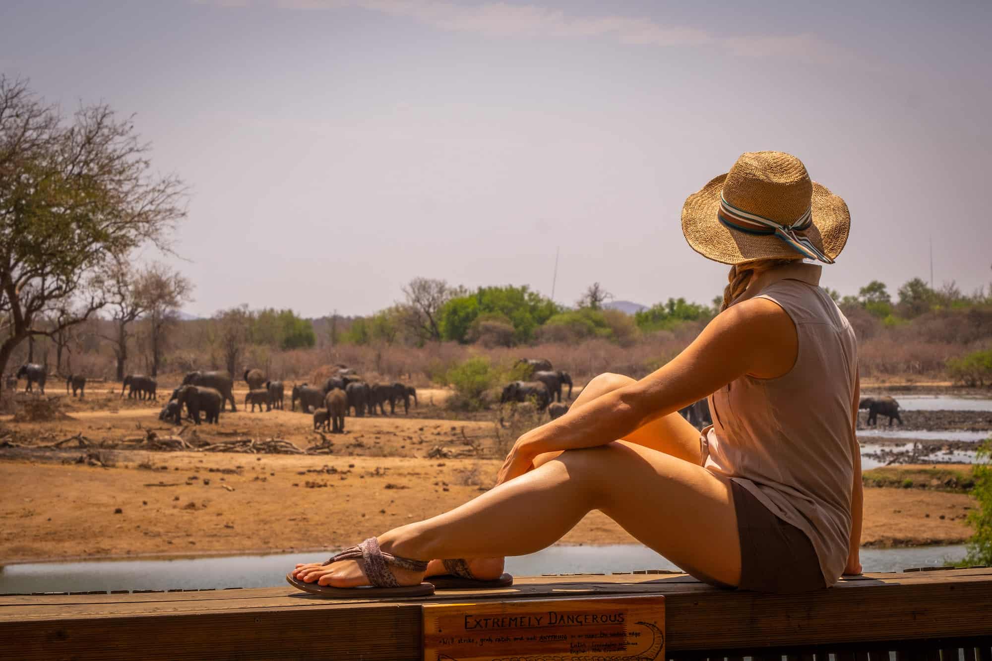 Watering Hole at Jaci's Tree Lodge