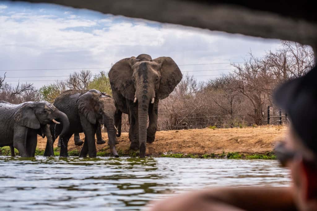 View From Terrapin Photography Hide