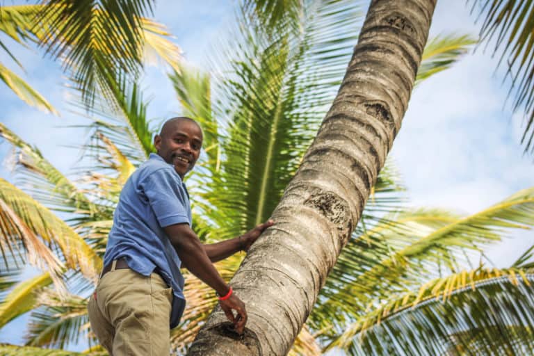 Mozambique Travel