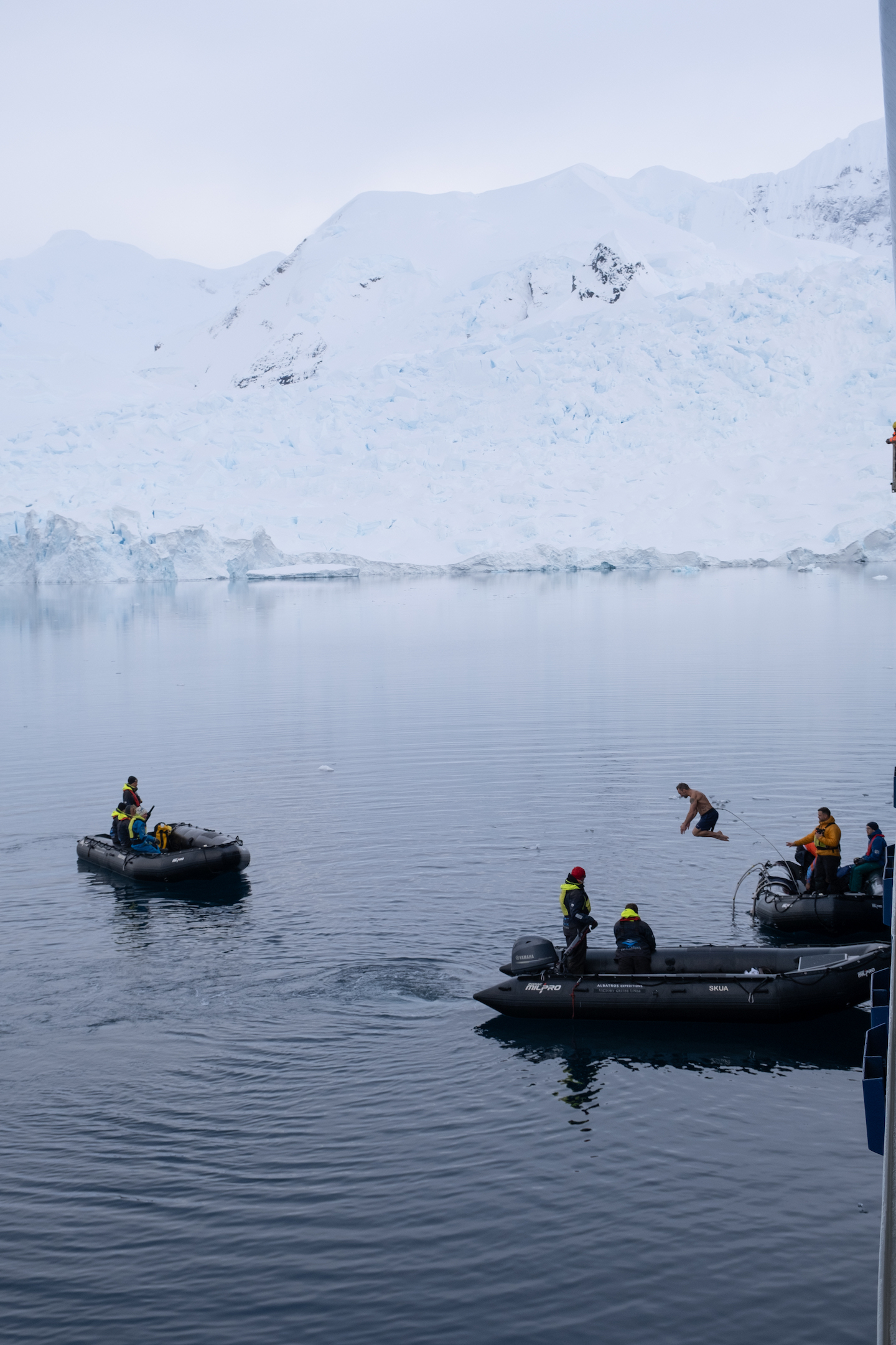 Polar Plunge in Antarctica 