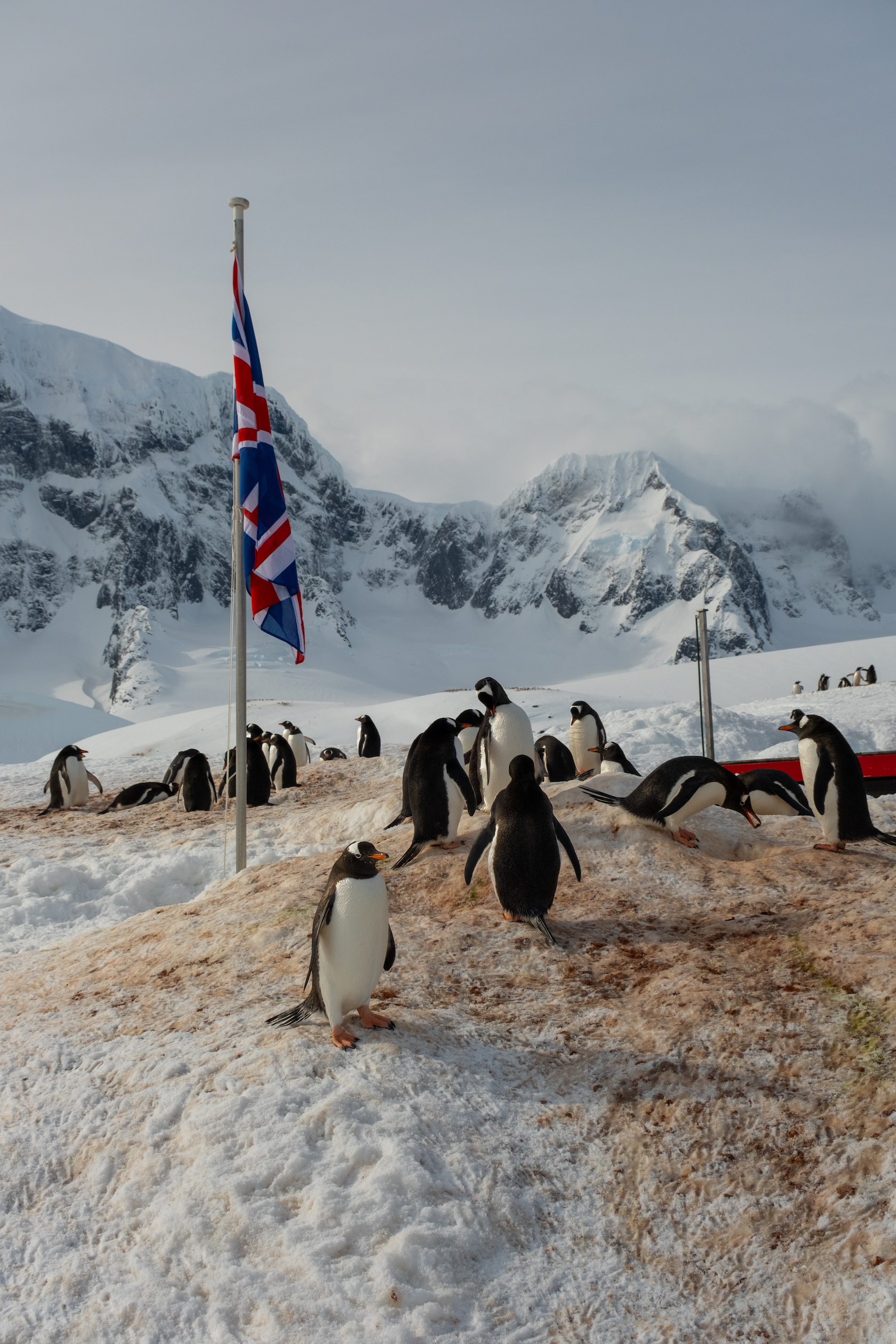 What is the Currency in Antarctica