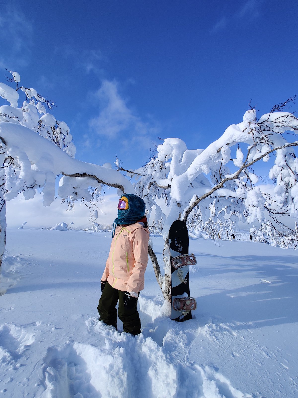 best time to visit hokkaido