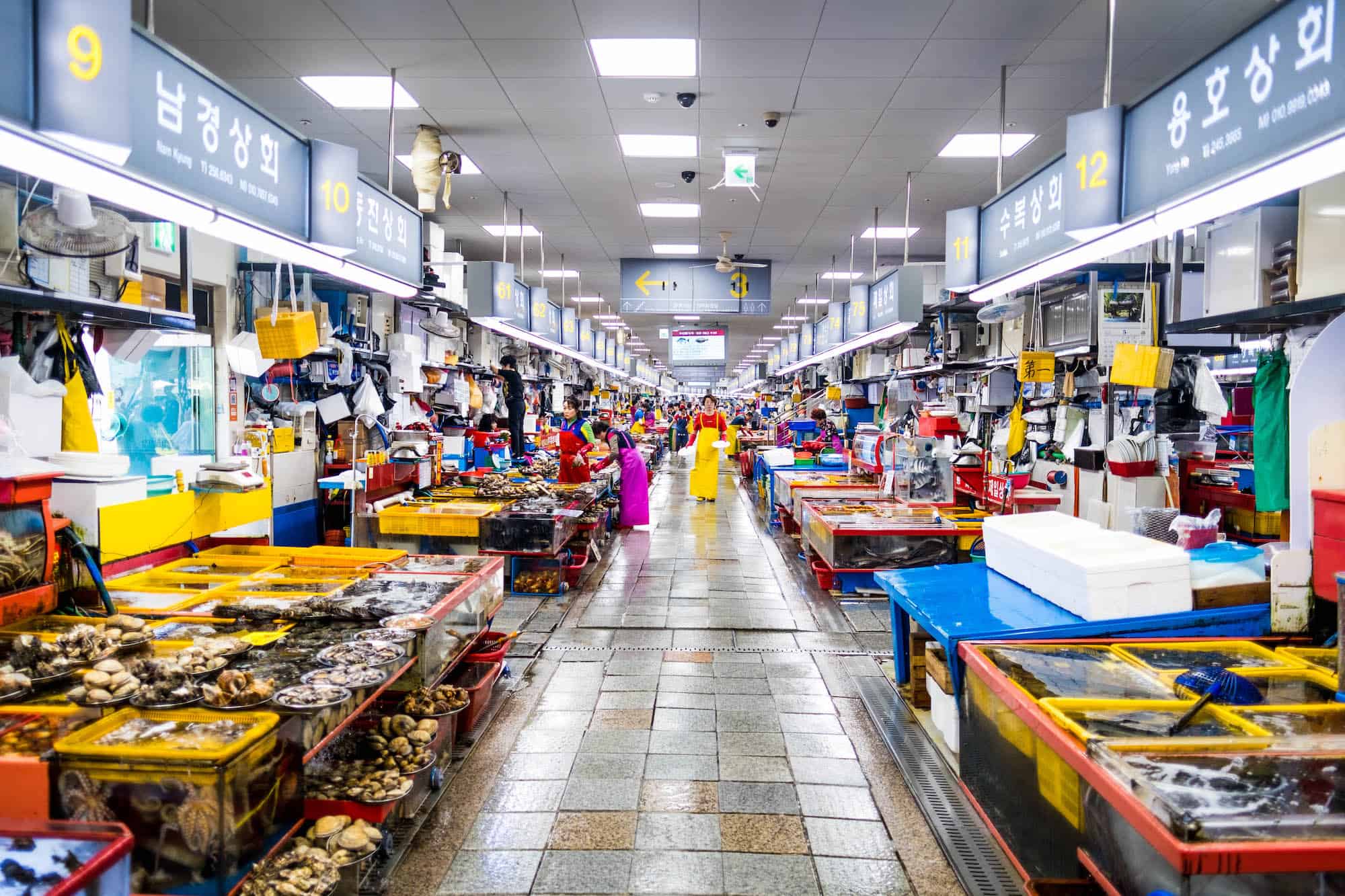 Things to do in Busan Jagalchi Market