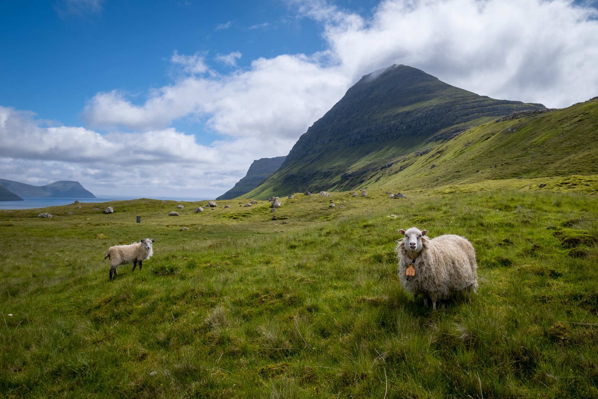 things to do in the faroe islands