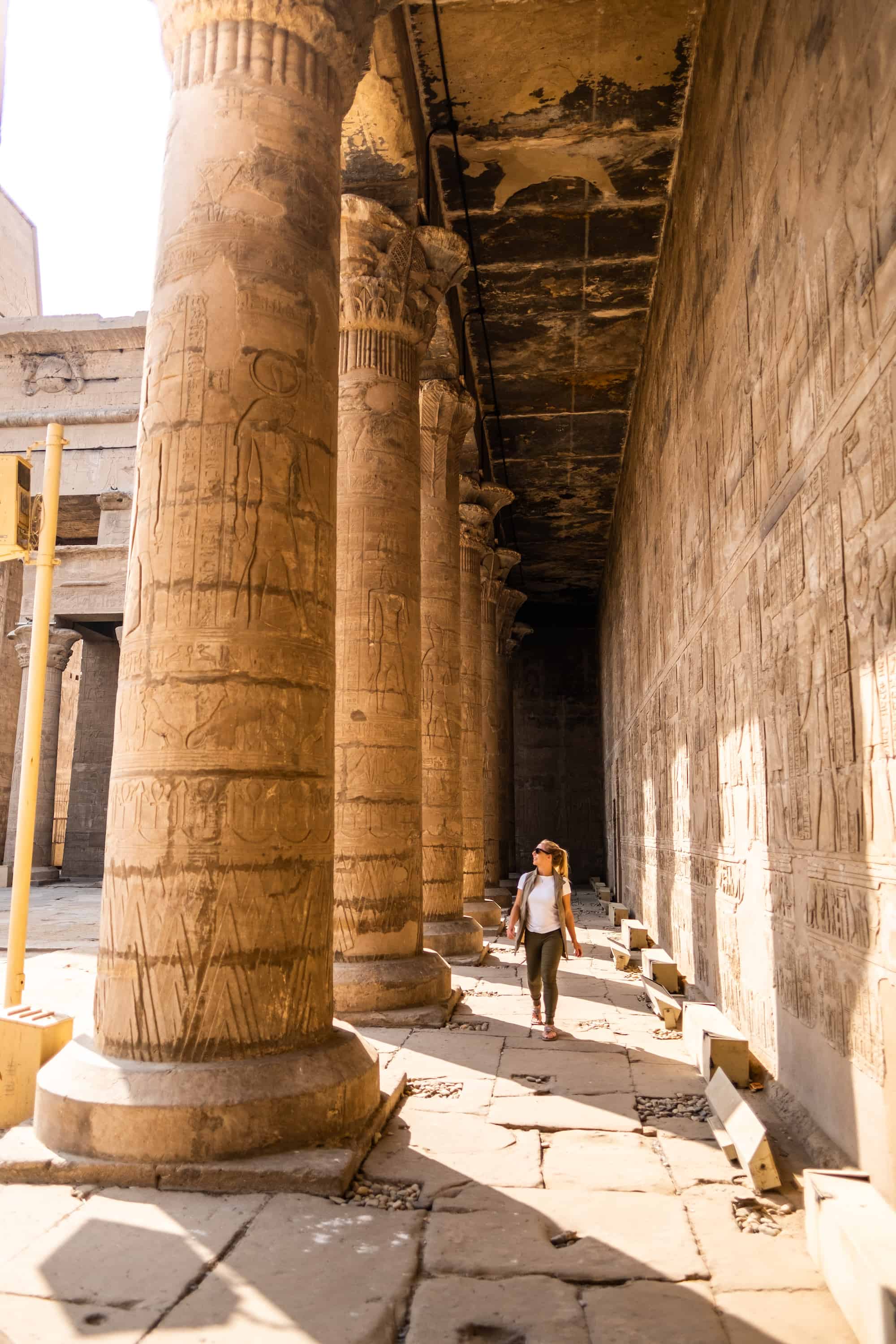 Temple of Edfu and Kom Ombo