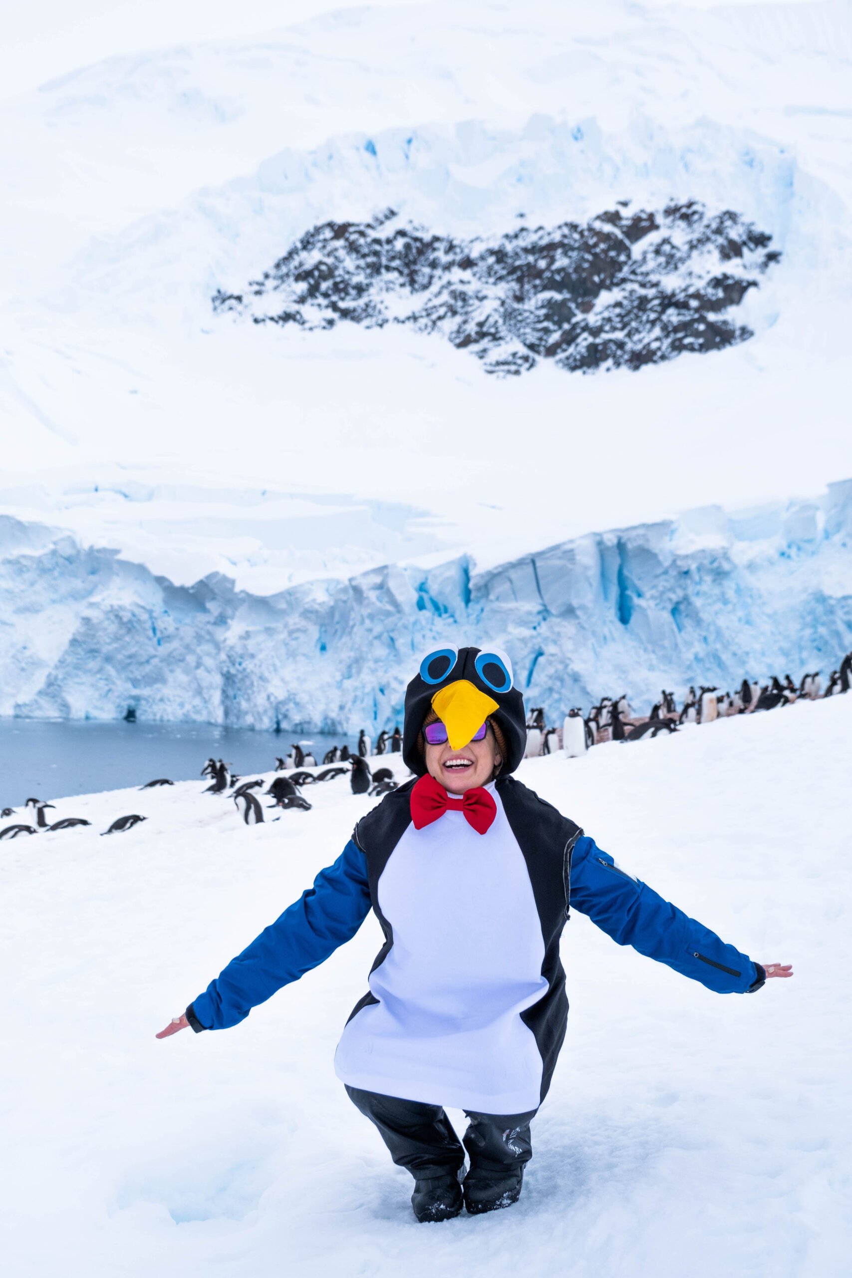 Neko Harbor in Antarctica