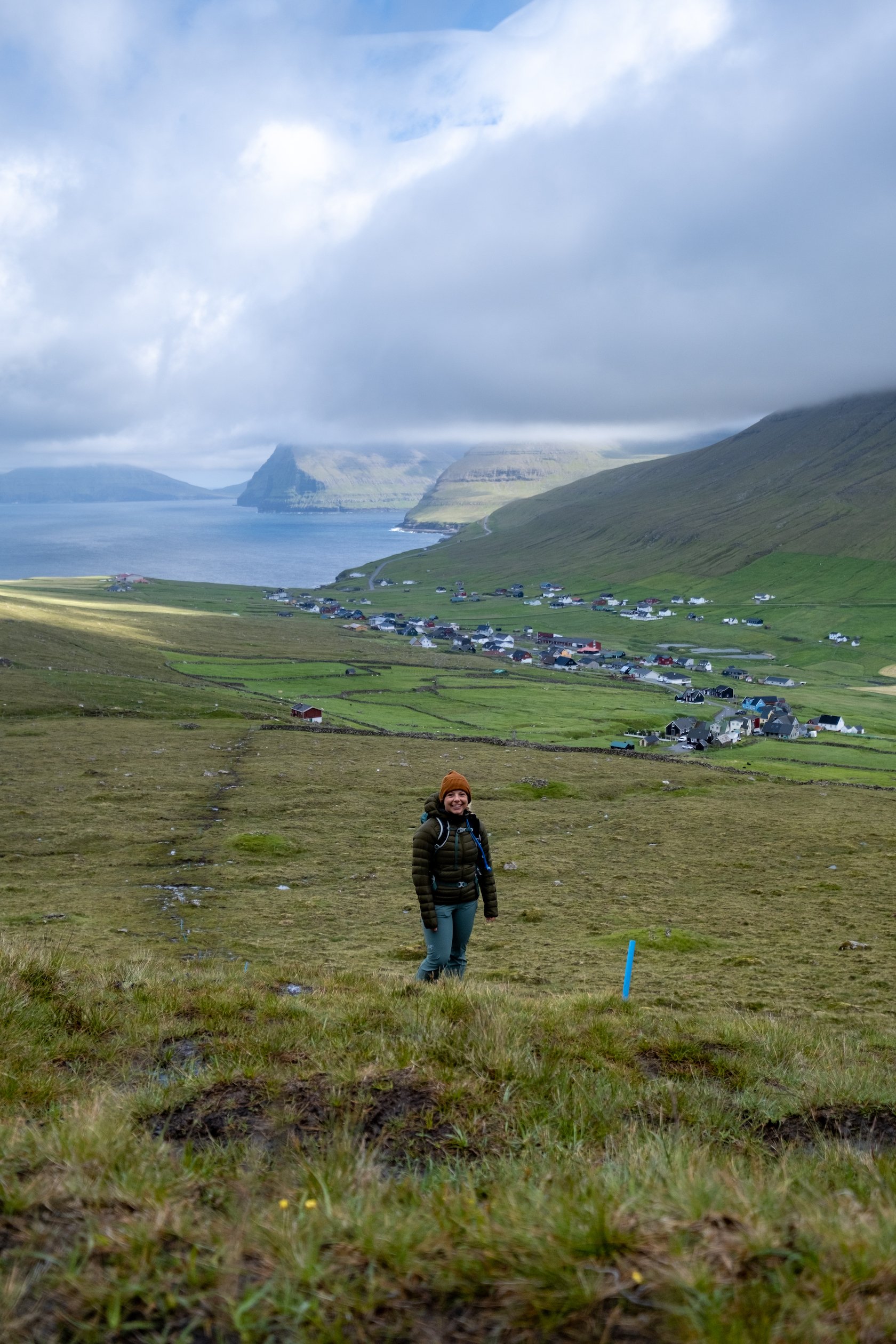 Viðareiði
