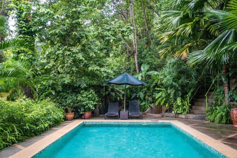 Where to stay Langkawi - Ambong Ambong