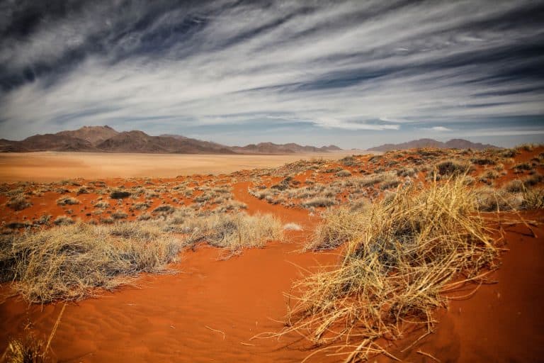 Why Travel Africa Namib Desert