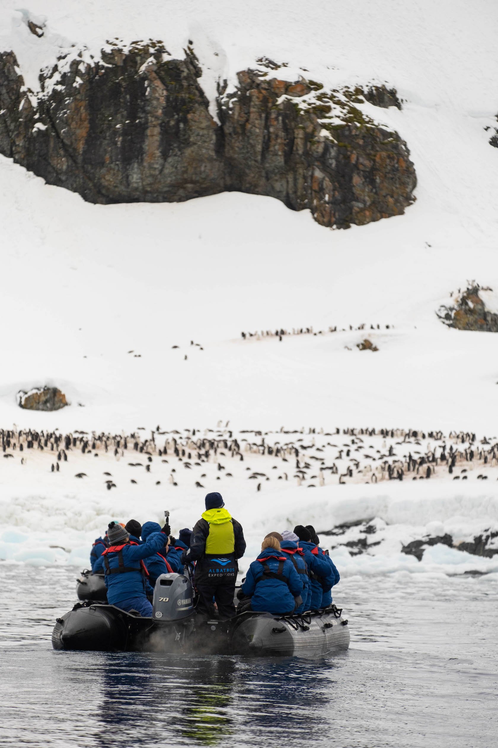 Zodiac in Antarctica
