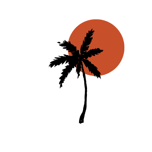 Palm Tree